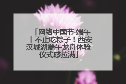 网络中国节·端午丨不止吃粽子！西安汉城湖端午龙舟体验仪式感拉满