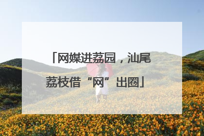 网媒进荔园，汕尾荔枝借“网”出圈
