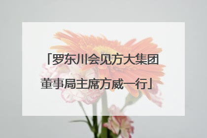 罗东川会见方大集团董事局主席方威一行