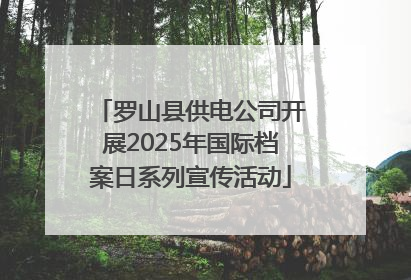 罗山县供电公司开展2025年国际档案日系列宣传活动