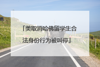 美取消哈佛留学生合法身份行为被叫停
