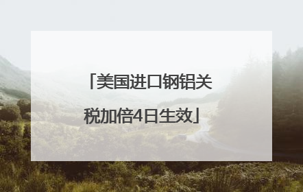 美国进口钢铝关税加倍4日生效