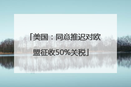 美国：同意推迟对欧盟征收50%关税
