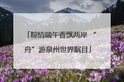 粽情端午香飘两岸 “舟”游泉州世界瞩目