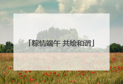 粽情端午 共绘和谐