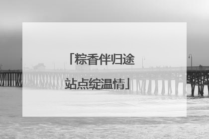 粽香伴归途 站点绽温情