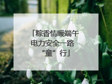 粽香情暖端午 电力安全一路“童”行