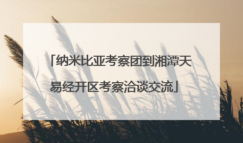 纳米比亚考察团到湘潭天易经开区考察洽谈交流
