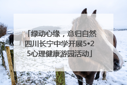 绿动心缘，意归自然 四川长宁中学开展5•25心理健康游园活动