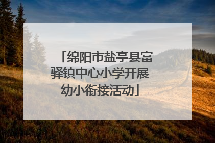 绵阳市盐亭县富驿镇中心小学开展幼小衔接活动