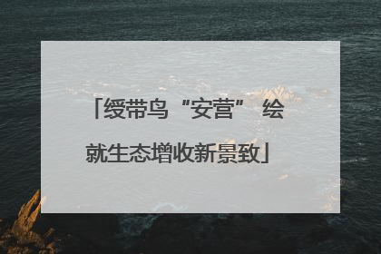 绶带鸟“安营” 绘就生态增收新景致