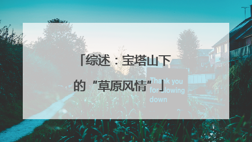 综述：宝塔山下的“草原风情”