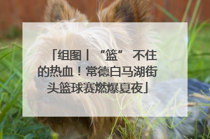 组图丨“篮” 不住的热血！常德白马湖街头篮球赛燃爆夏夜