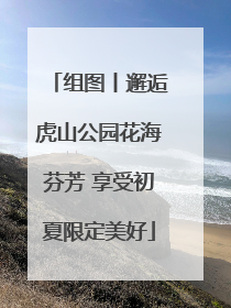 组图丨邂逅虎山公园花海芬芳 享受初夏限定美好