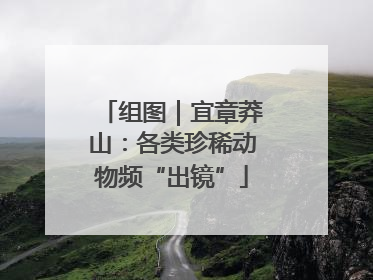 组图｜宜章莽山：各类珍稀动物频“出镜”