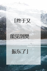 终于又能见到樊振东了