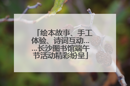 绘本故事、手工体验、诗词互动……长沙图书馆端午节活动精彩纷呈