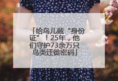 给鸟儿戴“身份证”！25年，他们守护73余万只鸟类迁徙密码