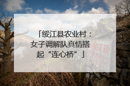 绥江县农业村：女子调解队真情搭起“连心桥”
