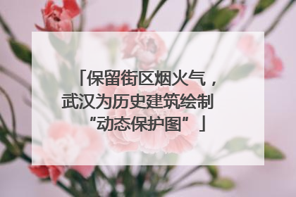 保留街区烟火气，武汉为历史建筑绘制“动态保护图”