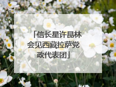 信长星许昆林会见西藏拉萨党政代表团