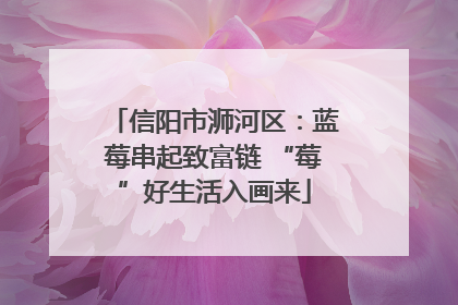 信阳市浉河区：蓝莓串起致富链 “莓”好生活入画来