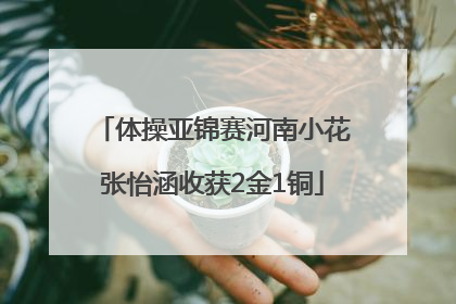 体操亚锦赛河南小花张怡涵收获2金1铜