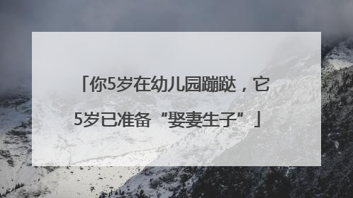 你5岁在幼儿园蹦跶，它5岁已准备“娶妻生子”