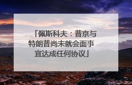 佩斯科夫：普京与特朗普尚未就会面事宜达成任何协议