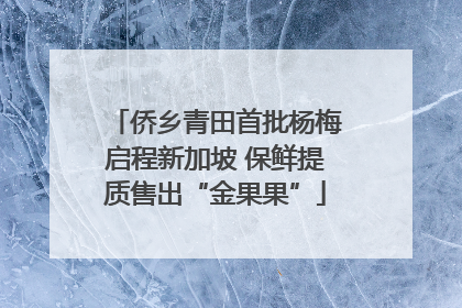 侨乡青田首批杨梅启程新加坡 保鲜提质售出“金果果”