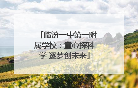 临汾一中第一附属学校：童心探科学 逐梦创未来