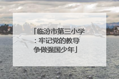 临汾市第三小学：牢记党的教导 争做强国少年