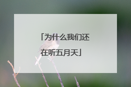 为什么我们还在听五月天