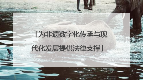 为非遗数字化传承与现代化发展提供法律支撑