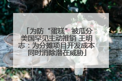 为防“蛋糕”被瓜分 美国罕见主动推销 王明志：为分摊项目开发成本同时消除潜在威胁