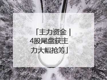 主力资金｜4股尾盘获主力大幅抢筹