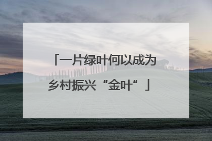一片绿叶何以成为乡村振兴“金叶”