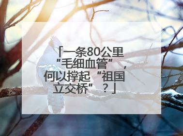 一条80公里“毛细血管”，何以撑起“祖国立交桥”？