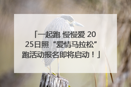 一起跑 慢慢爱 2025日照“爱情马拉松”跑活动报名即将启动！