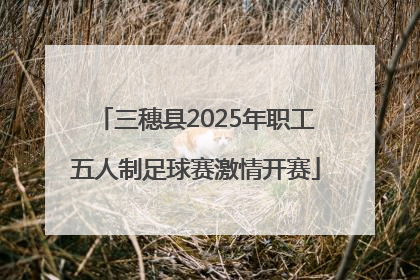 三穗县2025年职工五人制足球赛激情开赛