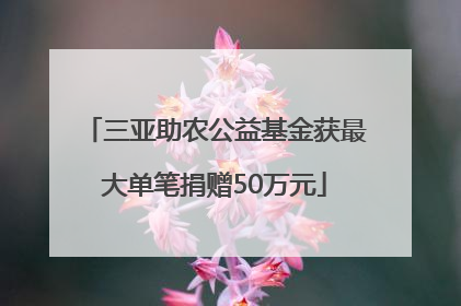 三亚助农公益基金获最大单笔捐赠50万元