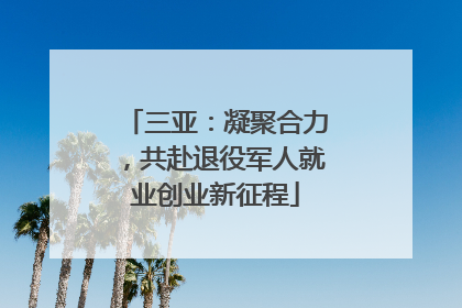 三亚：凝聚合力，共赴退役军人就业创业新征程