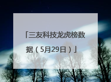 三友科技龙虎榜数据（5月29日）