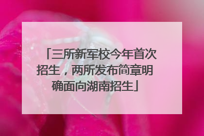 三所新军校今年首次招生，两所发布简章明确面向湖南招生