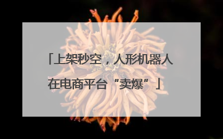 上架秒空，人形机器人在电商平台“卖爆”