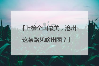 上榜全国最美，沧州这条路凭啥出圈？