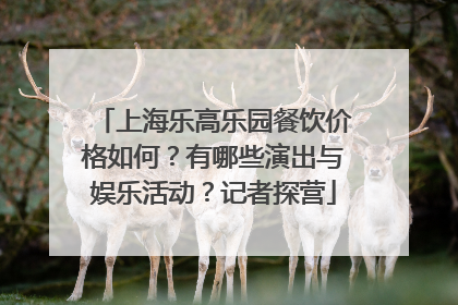 上海乐高乐园餐饮价格如何？有哪些演出与娱乐活动？记者探营