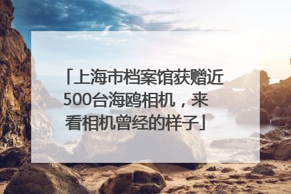 上海市档案馆获赠近500台海鸥相机，来看相机曾经的样子