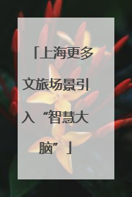 上海更多文旅场景引入“智慧大脑”