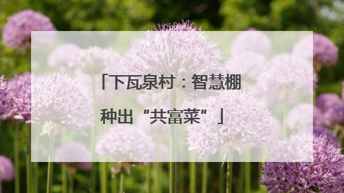 下瓦泉村：智慧棚种出“共富菜”
